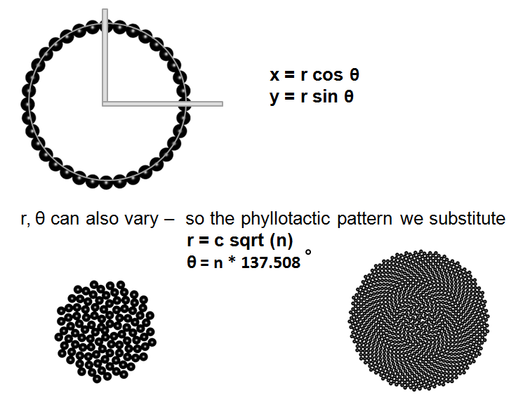 Preview of Phyllotaxis Formula